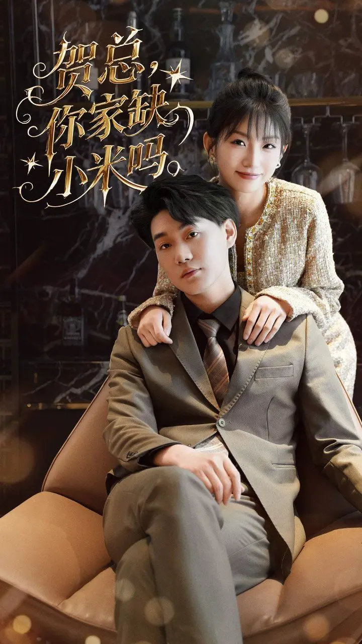 《贺总你家缺小米吗》：甜宠轻喜剧，霸道总裁与呆萌少女的爆笑爱情