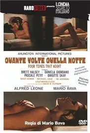 《那夜四次》：情感的迷宫，一段关于爱与失去的深夜絮语