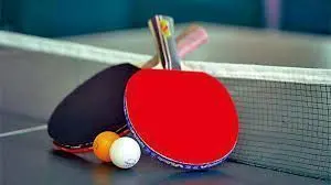 巴黎奥运会：法国力克日本，乒乓男团铜牌战激情回顾与深度解析